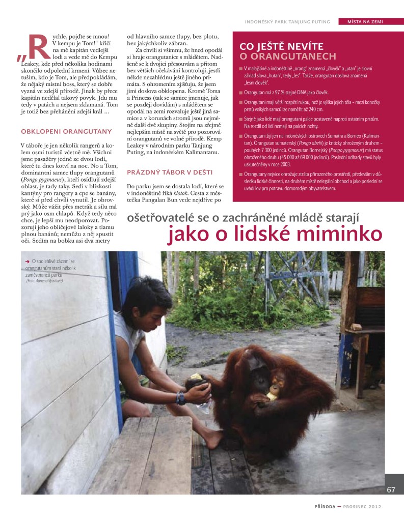 Orangutani Priroda 12_12-page-002