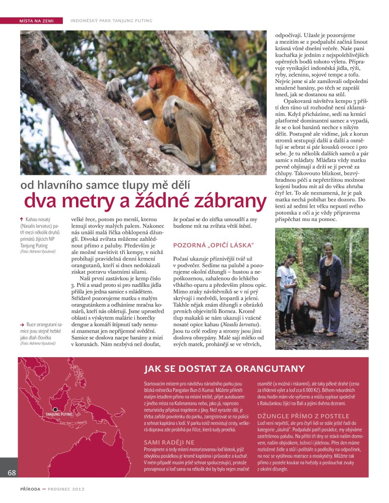 Orangutani Priroda 12_12-page-003