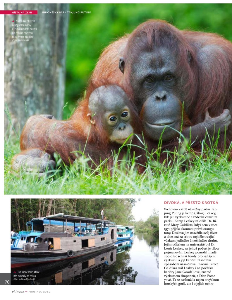 Orangutani Priroda 12_12-page-005