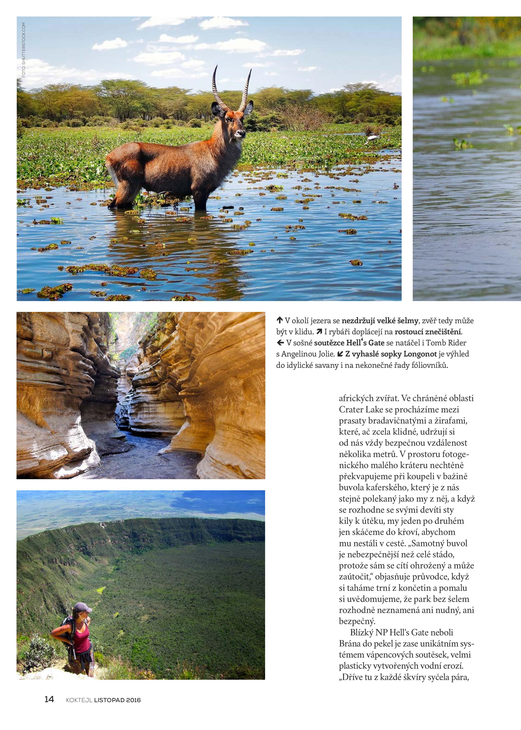 KO1611_Kena_Naivasha_JS-page-005